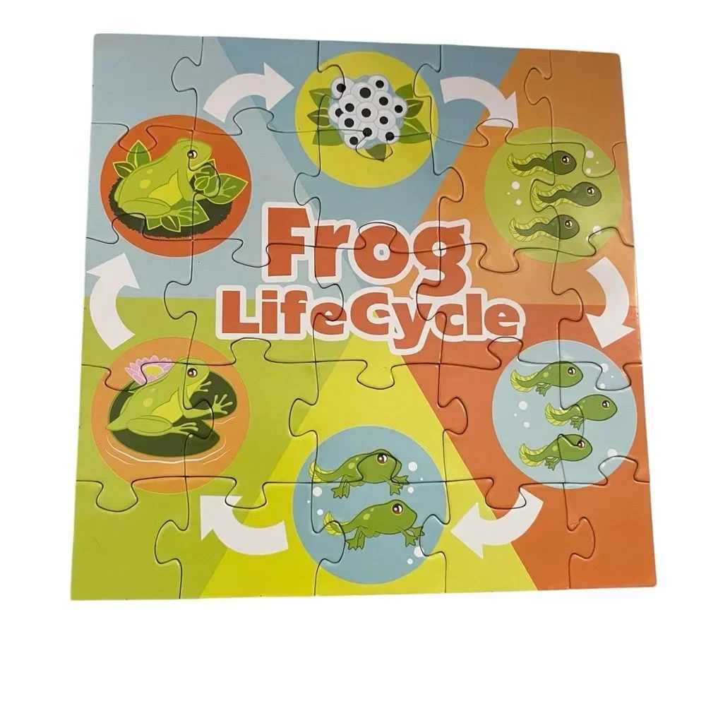 Frog LifeCycle Puzzle